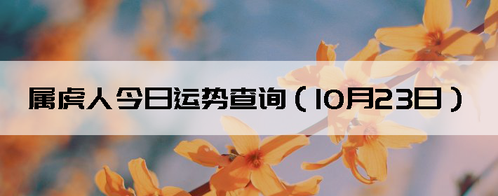 ˽Ʋѯ1023գ