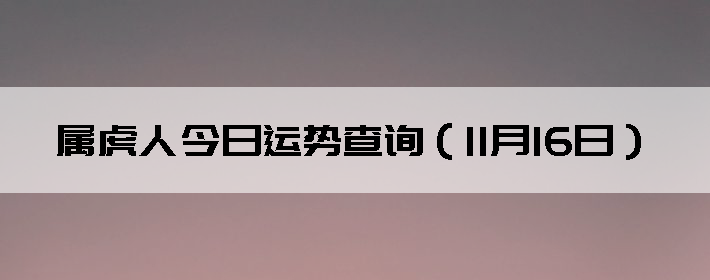 ˽Ʋѯ1116գ
