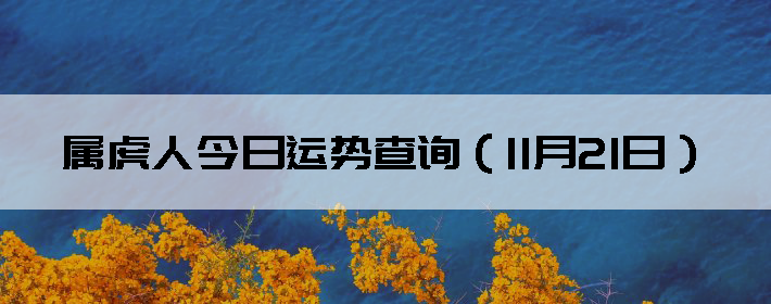 ˽Ʋѯ1121գ