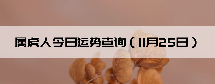 ˽Ʋѯ1125գ