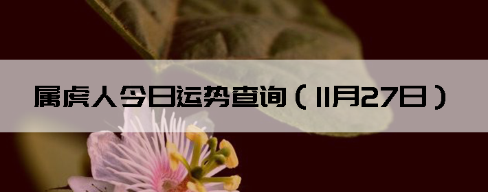 ˽Ʋѯ1127գ