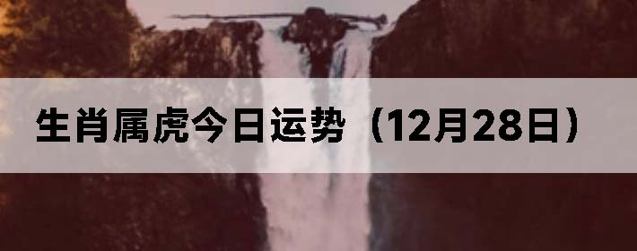 Фƣ1228գ