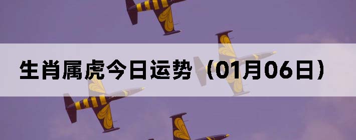 Фƣ0106գ