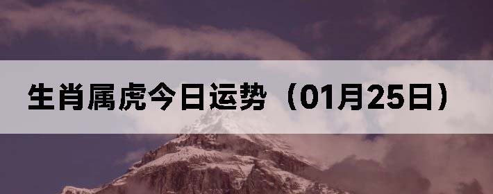 Фƣ0125գ