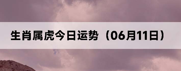 Фƣ0611գ