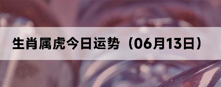 Фƣ0613գ