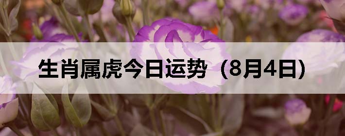 Фƣ0804գ