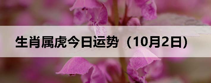 Фƣ1002գ