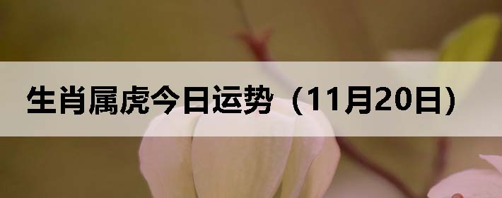 Фƣ1120գ