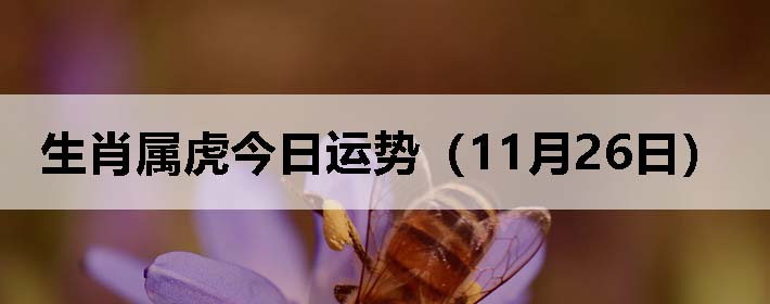 Фƣ1126գ