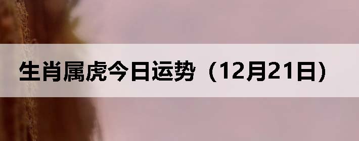 Фƣ1221գ