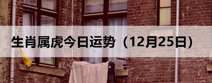Фƣ1225գ