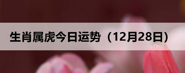 Фƣ1228գ