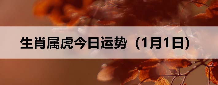 Фƣ0101գ