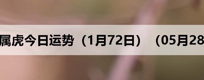 Фƣ0528գ