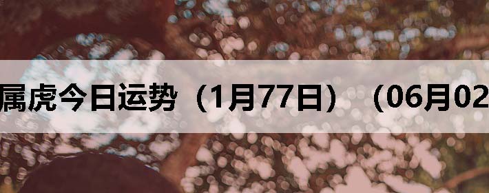 Фƣ0602գ