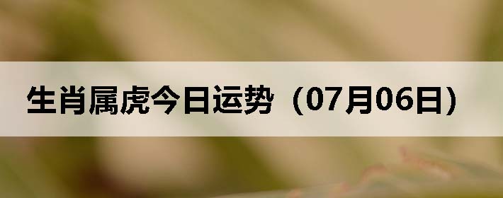 Фƣ0706գ