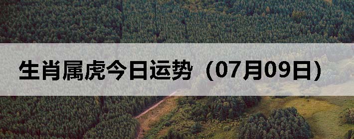 Фƣ0709գ