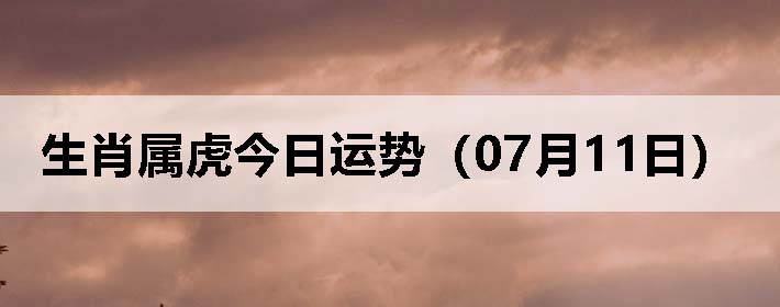 Фƣ0711գ