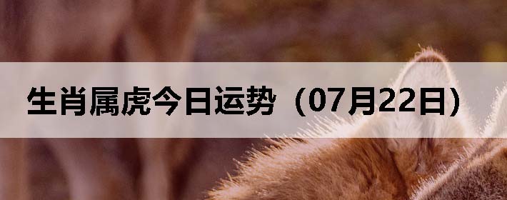 Фƣ0722գ