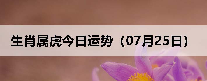 Фƣ0725գ