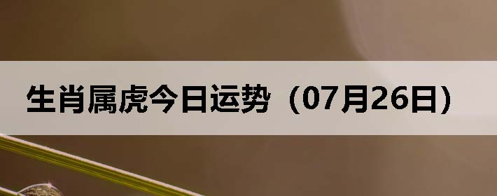 Фƣ0726գ