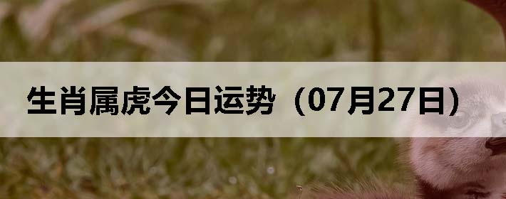 Фƣ0727գ