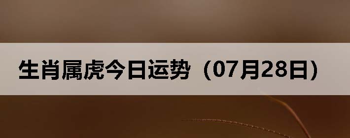 Фƣ0728գ
