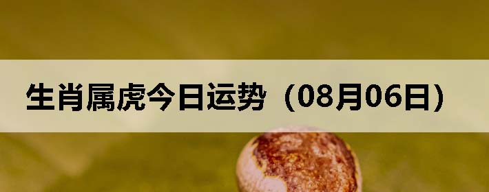 Фƣ0806գ