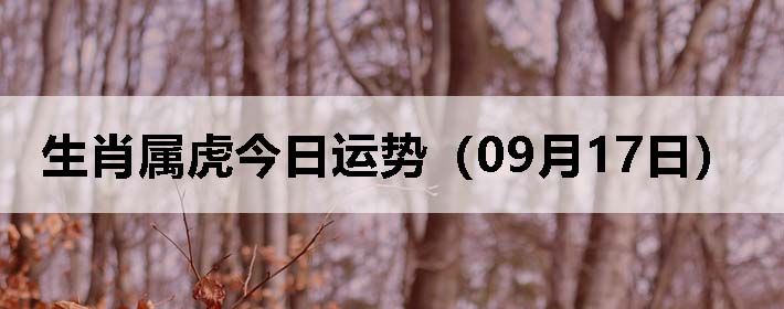 Фƣ0917գ