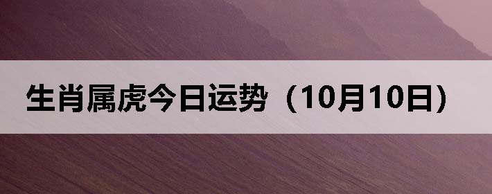 Фƣ1010գ