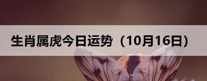 Фƣ1016գ