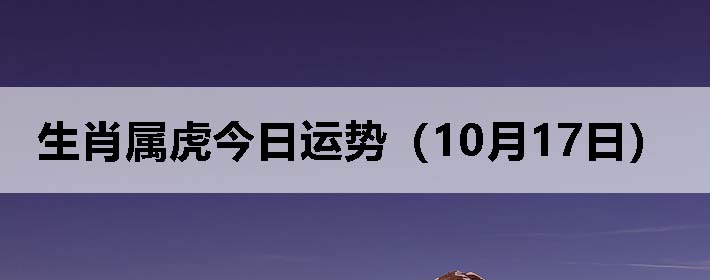 Фƣ1017գ