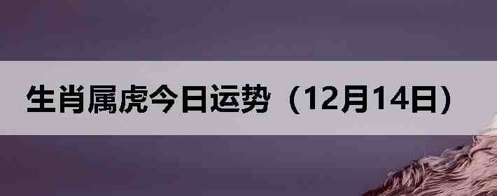 ��Ф�����������ƣ�12��14�գ�