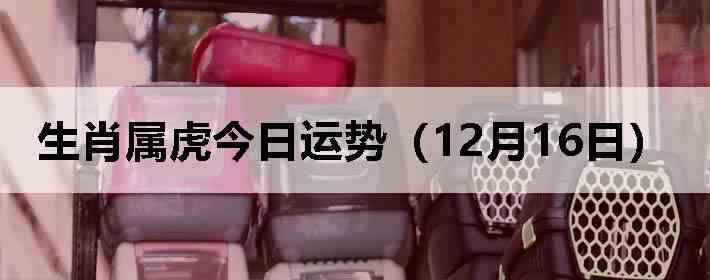 ��Ф�����������ƣ�12��16�գ�