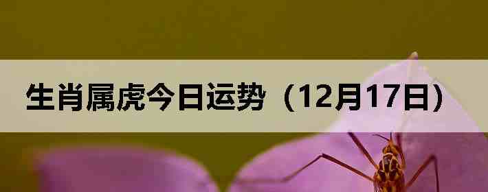 ��Ф�����������ƣ�12��17�գ�