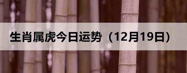 ��Ф�����������ƣ�12��19�գ�