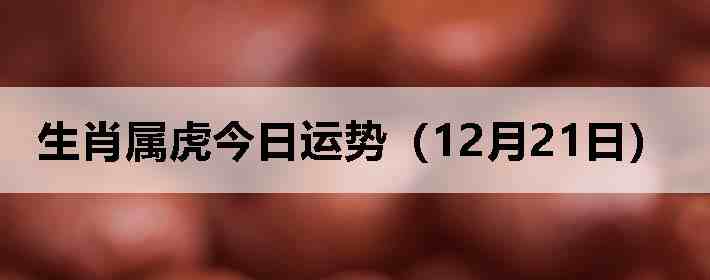 ��Ф�����������ƣ�12��21�գ�