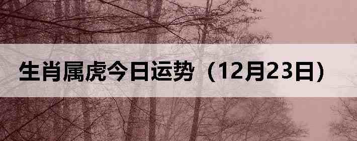 ��Ф�����������ƣ�12��23�գ�