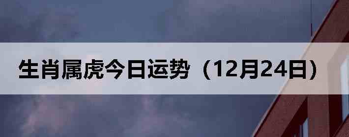 ��Ф�����������ƣ�12��24�գ�