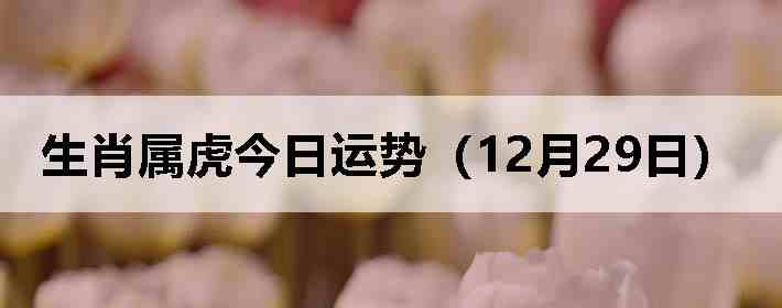 ��Ф�����������ƣ�12��29�գ�