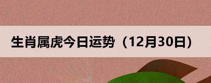 ��Ф�����������ƣ�12��30�գ�