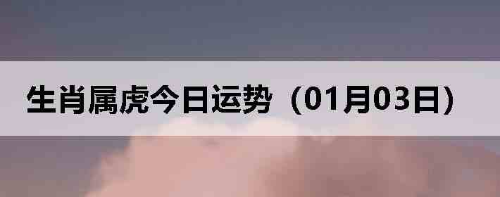 ��Ф�����������ƣ�01��03�գ�