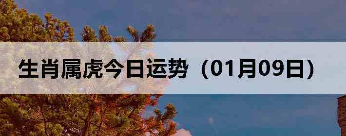 ��Ф�����������ƣ�01��09�գ�