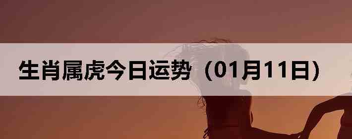 ��Ф�����������ƣ�01��11�գ�