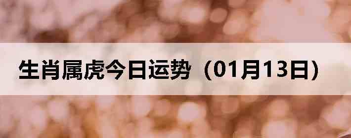 ��Ф�����������ƣ�01��13�գ�