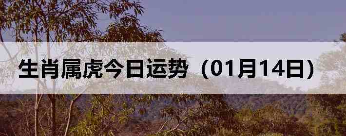 ��Ф�����������ƣ�01��14�գ�