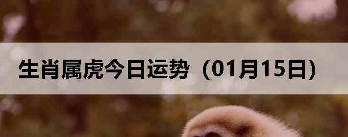 ��Ф�����������ƣ�01��15�գ�