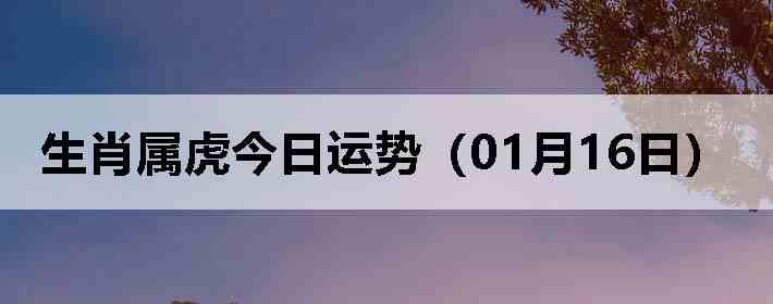 ��Ф�����������ƣ�01��16�գ�