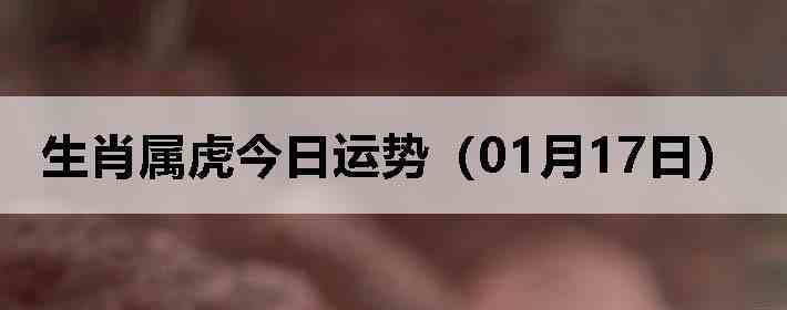 ��Ф�����������ƣ�01��17�գ�